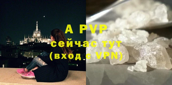 шишки Арсеньев