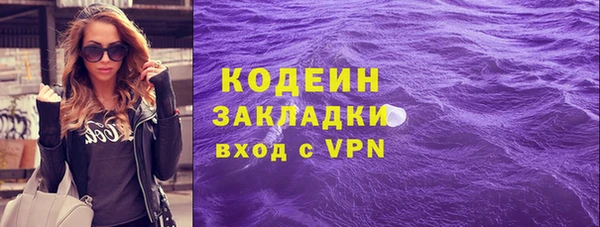 шишки Арсеньев