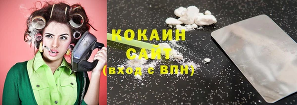 шишки Арсеньев