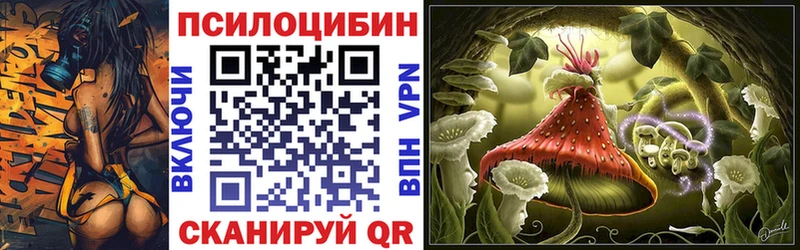 Псилоцибиновые грибы Magic Shrooms  блэк спрут зеркало  Кирово-Чепецк 