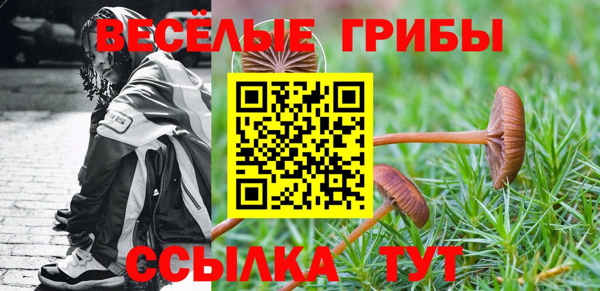 Кирово-Чепецк  Псилоцибиновые грибы мухоморы  Вход с VPN 